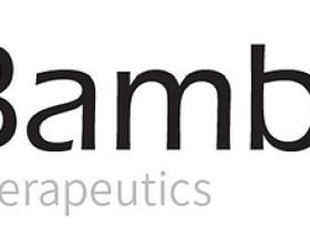 Image: Bambusa Therapeutics Presents Positive Preliminary Multiple Ascending Dose Phase 1 Data for BBT002 at the European Academy of Allergy & Clinical Immunology (EAACI) Annual Congress 2026