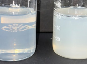 Image: Shinsung Materials Strengthens Global Presence with High-Performance Personal Care Ingredients