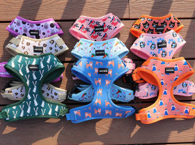 Image: Dog Harness Manufacturer OKEYPETS Launches Neoprene and Air-Mesh Harness Collections for Global Pet Brands