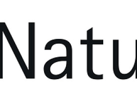 Image: Natuvion IT Transformation Report: 76 Percent of Companies Rely on AI for Data Migration