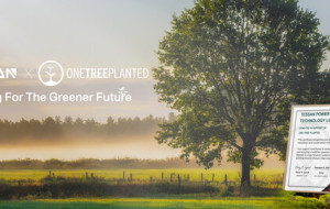 TESSAN Teams Up with One Tree Planted to Launch Global Tree Planting Initiative