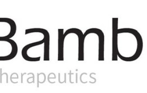 Bambusa Therapeutics Raises Approximately $90 Million in Series A Financing to Advance Next-generation Bispecific Antibodies for Immunology & Inflammation Diseases