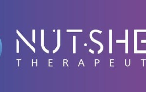 IND Application for NTS071, Nutshell Therapeutics' p53 Y220C Allosteric Reactivator, Received US FDA clearance