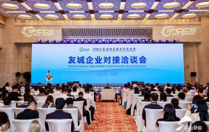 International Friendship Cities Business Matchmaking Fair during "2025 Shandong International Friendship Cities Cooperation and Exchange Week" Held in Jinan