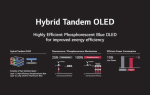LG Display Becomes World's First to Verify Commercialization of Blue Phosphorescent OLED Panels