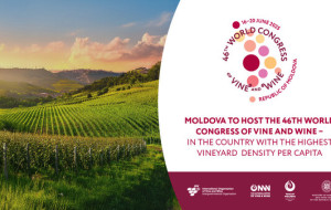 Moldova to Host the 46th World Congress of Vine and Wine – in the Country with the Highest Vineyard Density per Capita