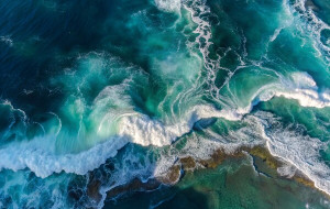 NOVOTEL CELEBRATES ONE YEAR OF OCEAN COMMITMENT AND SUSTAINABLE PARTNERSHIP WITH WWF