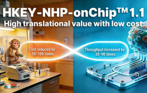 HKeyBio Launches HKEY-NHP-onChip™ 1.1: World's First NHP In Vitro Model for Autoimmune and Allergic Diseases