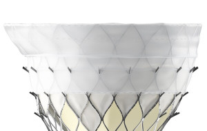 First Implant of KingstronBio's ProStyle M® Transcatheter Mitral Valve System Successfully Completed in National Multicenter Confirmatory Study