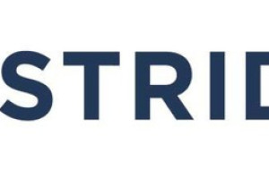 Former UK Ministry of Defence Chief Data and AI Officer Joins Strider
