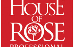 HOUSE OF ROSE PROFESSIONAL (HORP) ANNOUNCES 2026 GLOBAL MALE CHAMPIONS FOR GENDER EQUALITY
