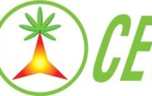 Published Clinical Study Illustrates Benefits of Promentum® Recover as Low-Dose Solution for Post Exercise Recovery