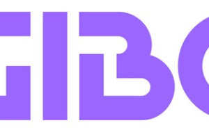 The Ultimate Editing Bay: GIBO Unveils Multi-Modal Workspaces Within GIBO Watch