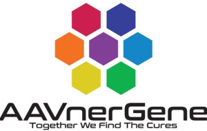 AAVnerGene Announces AAVone®2.1, a Next-Generation Single-Plasmid AAV Production Platform Achieving ~1e16 GC/L and >70% Full Capsids at Harvest