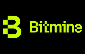 Bitmine Immersion Technologies (BMNR) Announces ETH Holdings Reach 5.42 Million Tokens, and Total Crypto and Total Cash Holdings of $11.6 Billion