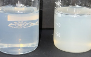 Shinsung Materials Strengthens Global Presence with High-Performance Personal Care Ingredients