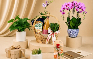 JM Flower's Corporate Gifting Programme Helps Businesses Save More on Thoughtful Floral Gifts