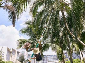 Image: From "Traveling with Children" to "A Vacation for the Whole Family": The Sanya EDITION Redefines Family Travel Experiences
