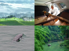 Image: World Environment Day: Hubei, where nature thrives