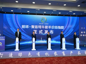 Image: Xinhua Silk Road: Price indices on Qinghai yak and Tibetan sheep unveiled to enhance local animal husbandry branding