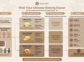 Image: Beyond Tea Names: iTeaworld Launches Chinese Oolong Tea Flavor Roadmap to Simplify Tea Discovery for Global Consumers