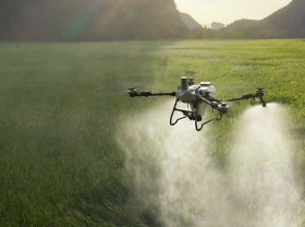 Image: DJI Agriculture Elevates Precision Farming with Global Launch of Agras T55 and T100 Dual Battery Spraying System