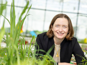 Image: Moa Technology raises Series C round co-led by Oxford Science Enterprises and Supernova Invest