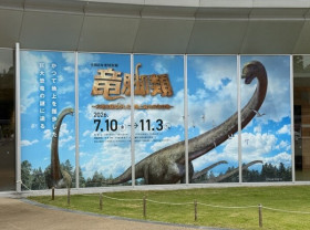 Image: Sauropods in Katsuyama: Standing Beneath the Giants That Shook the Earth at Fukui Prefectural Dinosaur Museum