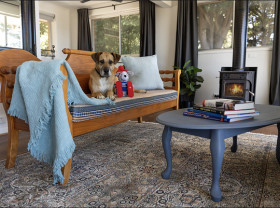Image: The costly winter pet mistakes Australians are making