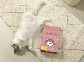 Image: Lady N Brings Vet-Backed Pheromone Innovation to Everyday Litter Care