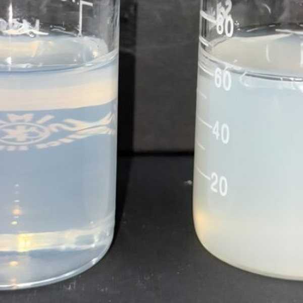 Image: Shinsung Materials Strengthens Global Presence with High-Performance Personal Care Ingredients