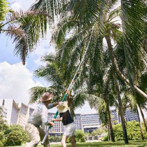 Image: From "Traveling with Children" to "A Vacation for the Whole Family": The Sanya EDITION Redefines Family Travel Experiences