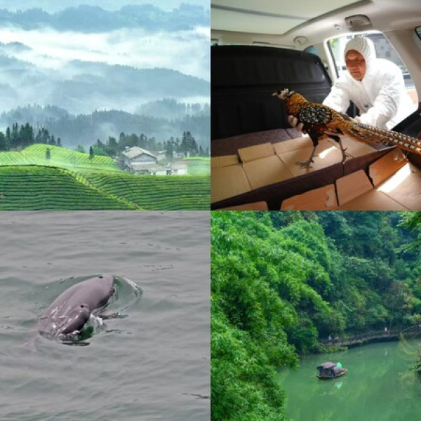 Image: World Environment Day: Hubei, where nature thrives