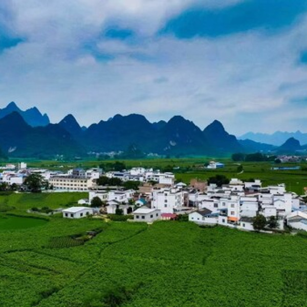 Image: Xinhua Silk Road: "AI+mulberry silk" paves new road to prosperity in S China's Guangxi
