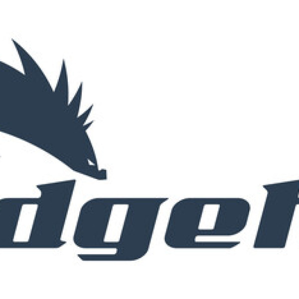 Image: Hedgehog USA Signs Strategic Energy Supply Agreement with Idemitsu to Advance Powered Land Data Center Platform in Texas