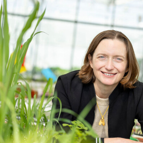 Image: Moa Technology raises Series C round co-led by Oxford Science Enterprises and Supernova Invest