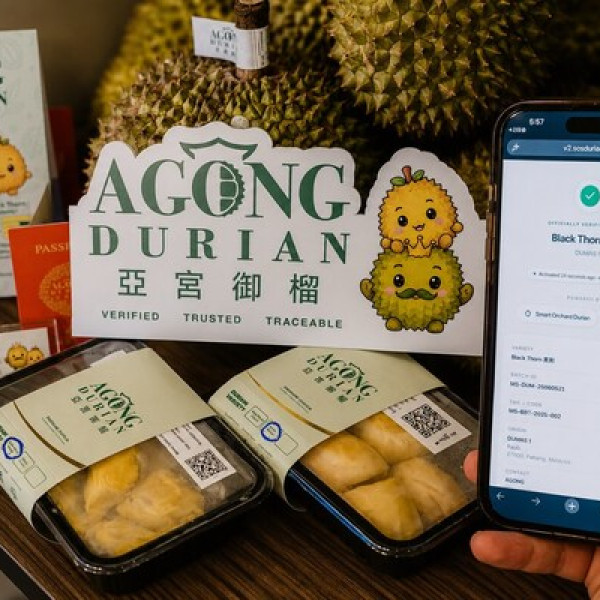Image: [Official Launch] AGONG Durian Uses Blockchain to Authenticate Every Musang King