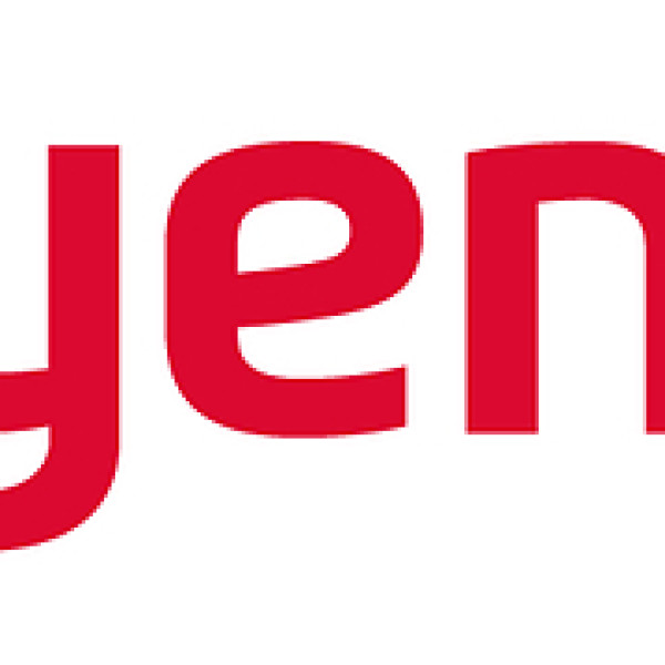 Image: Rayence Launches 'SHINE,' a Next-Generation X-ray Image Processing Technology for Low Dose Imaging