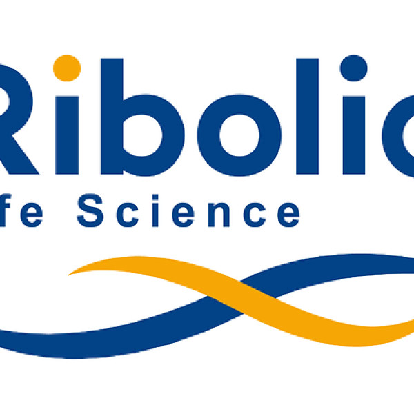 Image: Ribo and Madrigal Reach First Major Milestone in Advancing Novel siRNA Therapies for MASH
