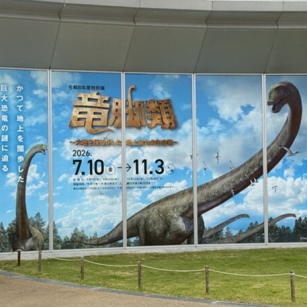 Image: Sauropods in Katsuyama: Standing Beneath the Giants That Shook the Earth at Fukui Prefectural Dinosaur Museum