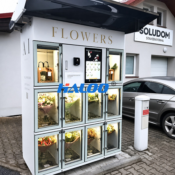 Image: Smart Vending Machine Supplier HALOO Reaches 100+ Intellectual Property Milestone and Serves Markets Across 100+ Countries