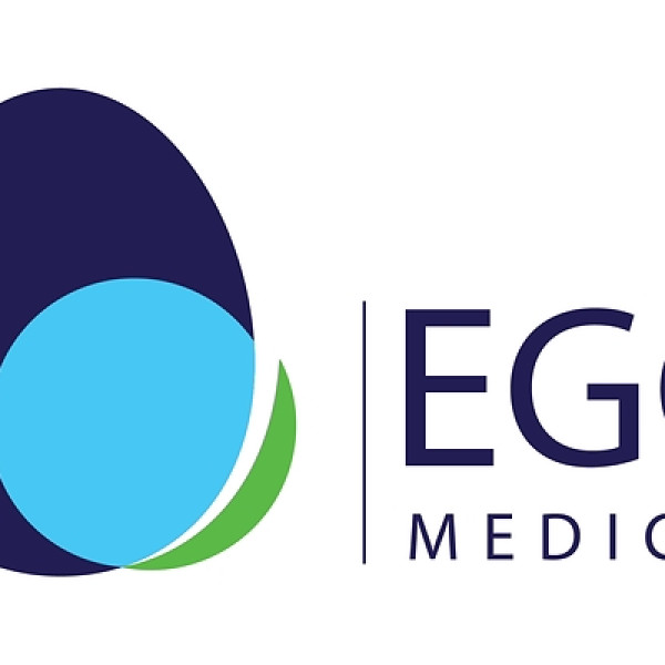 Image: Smarter, Lighter, & Construction-Free: Egg Medical Debuts EggNest® Complete 2.0 for Interventional Labs