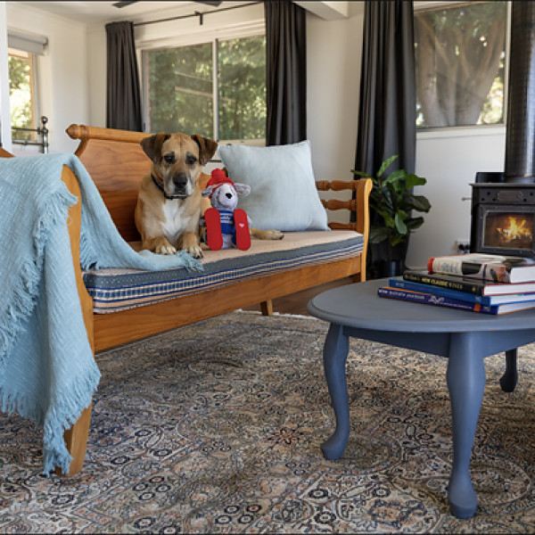 Image: The costly winter pet mistakes Australians are making