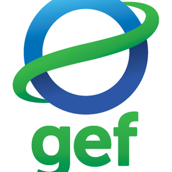 Image: Diego Mesa Puyo selected as next GEF CEO and Chairperson