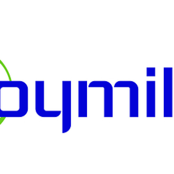 Image: Hoymiles Achieves 17.4% Global Microinverter Shipment Share, Reinforcing Its Leadership in the Global Market