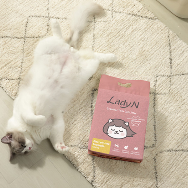 Image: Lady N Brings Vet-Backed Pheromone Innovation to Everyday Litter Care