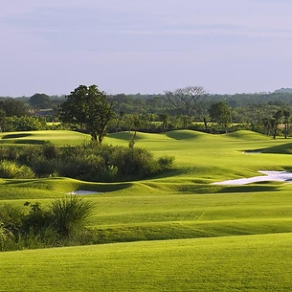 Image: Swing Amid Black‑Rock Greenery! Discover Another Way to Holiday in Hainan