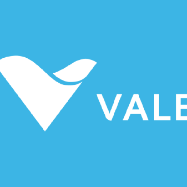 Image: Vale Base Metals to Proceed with Coarse Particle Flotation at Salobo Increasing and Accelerating Projected Copper Production