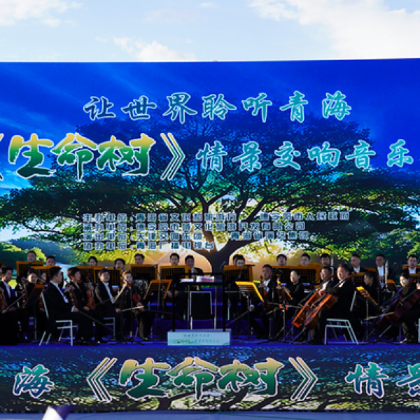 Image: Xinhua Silk Road: "Born to be Alive" scenario-themed symphony concert debuts in Delingha of China's Qinghai