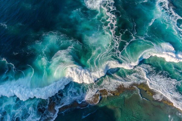 NOVOTEL CELEBRATES ONE YEAR OF OCEAN COMMITMENT AND SUSTAINABLE PARTNERSHIP WITH WWF